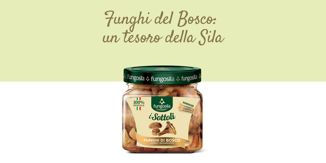 funghi di bosco sott'olio